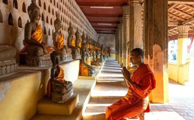 Sống chậm sẽ giúp con người cảm nhận hạnh phúc tốt hơn