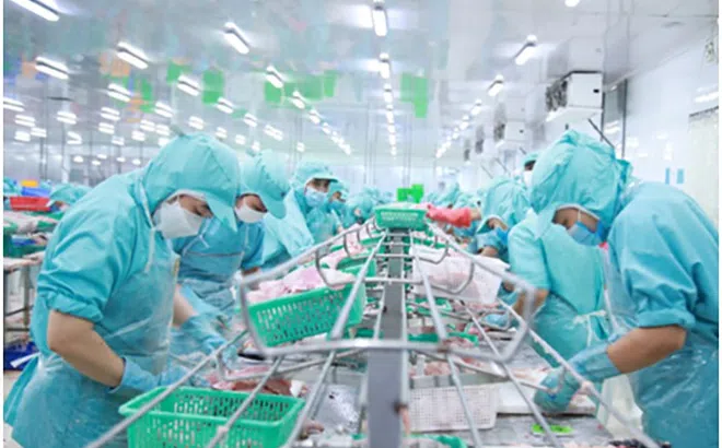 IDI – Viên ngọc sáng của vùng đất Cửu Long