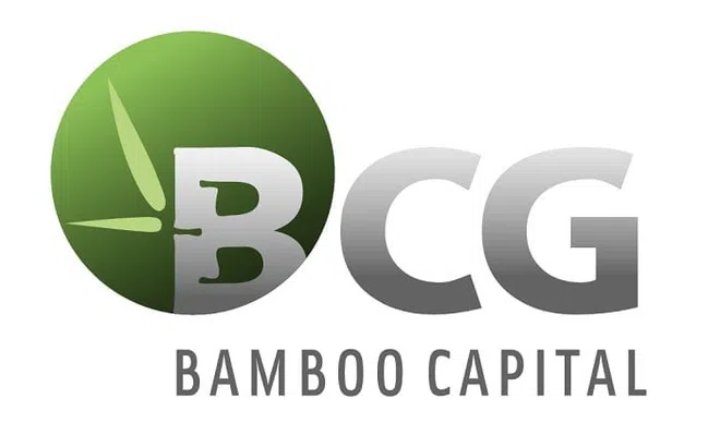 Quý 3/2022 Bamboo Capital thu 1.177 tỷ đồng, tỷ lệ nợ trên vốn chủ sở hữu duy trì ở mức tích cực