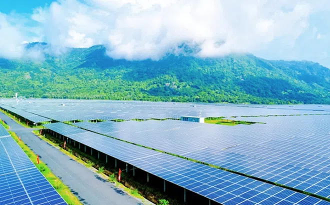 Những bước tiến xanh từ tâm lành