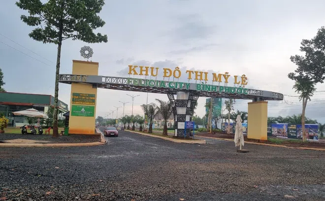 Bình Phước thu hồi đất loạt dự án bỏ hoang: Hết thời chủ đầu tư “ôm đất chờ thời”?