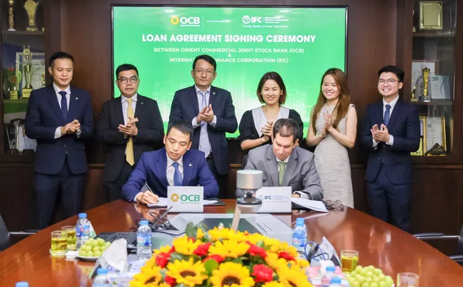 Khoản vay mới 100 triệu USD từ IFC giúp OCB mở rộng cho vay doanh nghiệp vừa và nhỏ