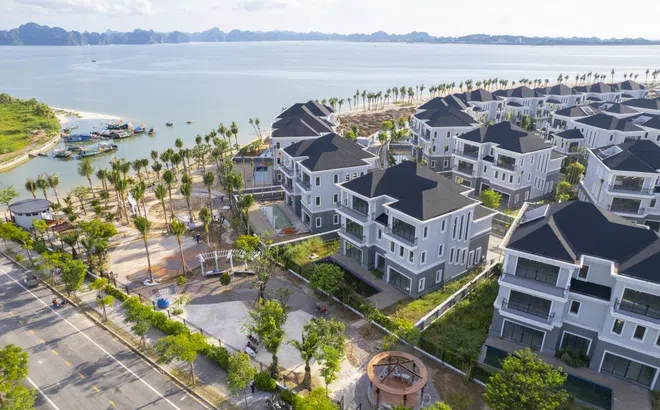 Nợ hàng chục nghìn tỷ, BIM Land của đại gia Đoàn Quốc Việt vẫn mạnh tay phát hành lô trái phiếu 2.300 tỷ đồng