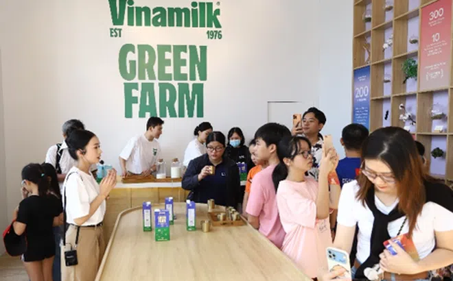 Vinamilk tiên phong ứng dụng thành công công nghệ sữa Green Farm đột phá