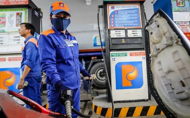 Kinh doanh 2023 Petrolimex thắng lớn, mỗi ngày “bỏ túi” hơn 8 tỷ đồng tiền lãi