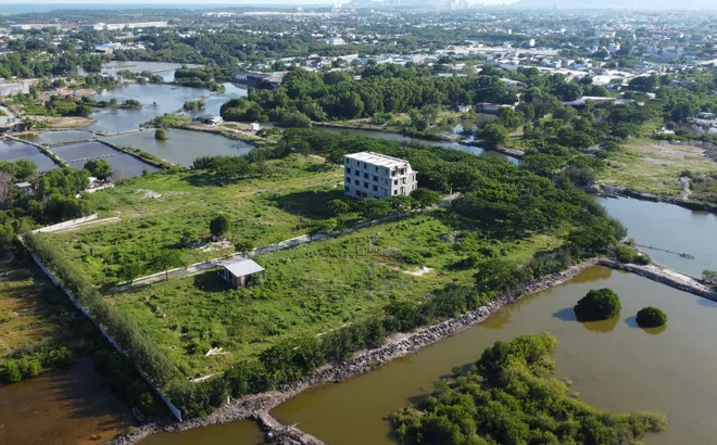 Kiểm tra, xử lý hàng loạt dự án bất động sản tại Bà Rịa - Vũng Tàu