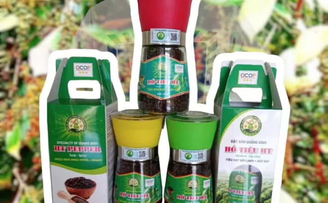 Quảng Bình: Công nhận 20 sản phẩm OCOP thuộc chương trình “mỗi xã một sản phẩm năm 2023”