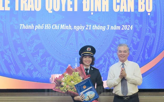 Chân dung tân Phó Chánh Thanh tra TP.HCM Đinh Thị Thu