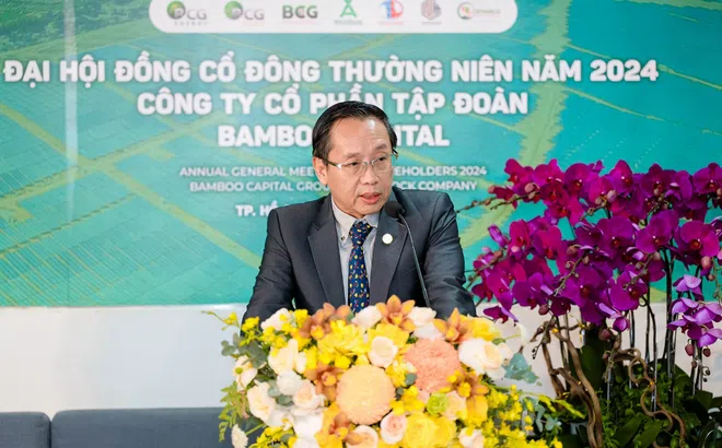 Chân dung tân Chủ tịch HĐQT người nước ngoài của Bamboo Capital