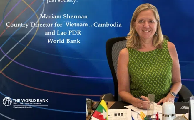 Chân dung bà Mariam Sherman - tân Giám đốc Quốc gia của Ngân hàng Thế giới tại Việt Nam