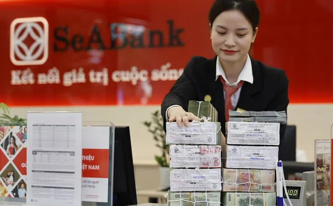Ngân hàng phát triển bền vững trên nền tảng quản trị rủi ro vững chắc