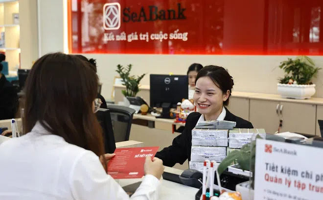 Norfund cấp khoản vay chuyển đổi trị giá 30 triệu USD cho SeABank