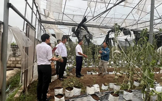 Các ngân hàng tích cực triển khai nhiều chính sách để hỗ trợ khách hàng bị thiệt hại do bão số 3