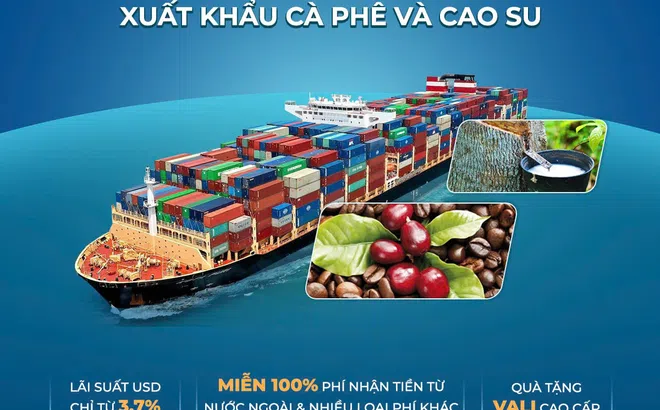 Eximbank triển khai chương trình E-One với nhiều ưu đãi dành cho doanh nghiệp xuất khẩu cà phê và cao su