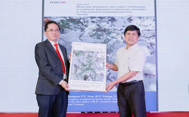 Tấm lòng với lễ tri ân của CT Group đến các thầy cô giáo