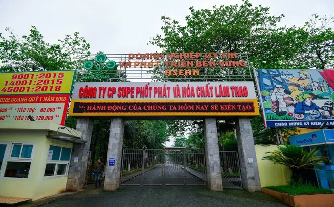 LAS báo lãi ròng 170 tỷ đồng năm 2024: Vượt xa kế hoạch dù quý IV kém sắc
