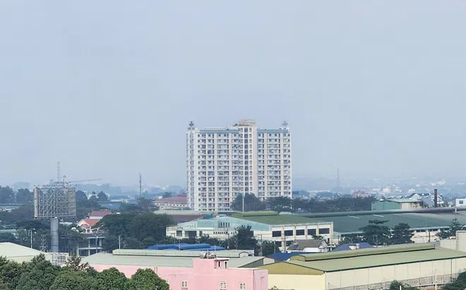 Xu hướng bất động sản 2025: Nhà đầu tư đang đổ vốn vào đâu sau Tết?