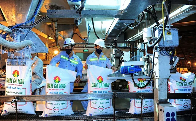 Phân bón Cà Mau – Tự hào thương hiệu Việt, khẳng định đẳng cấp toàn cầu
