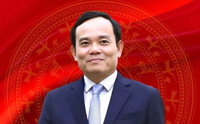 Chân dung ông Trần Lưu Quang - tân Bí thư Thành ủy TP.HCM