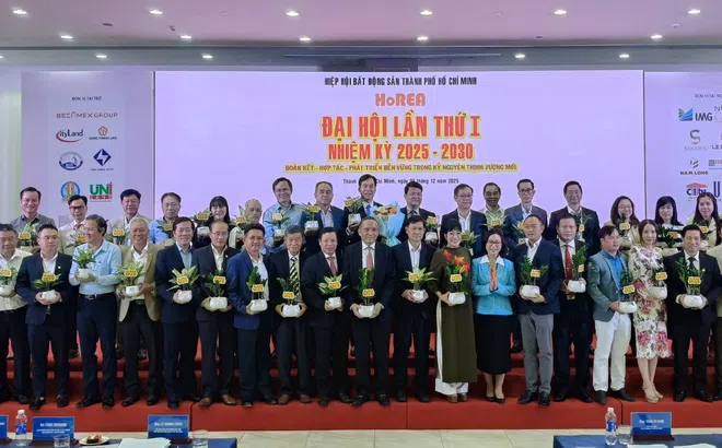 HoREA và vai trò dẫn dắt trong giai đoạn tái cấu trúc thị trường bất động sản