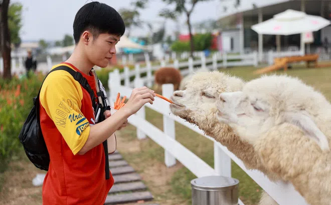 Khám phá “tọa độ du Xuân triệu view” tại The Global City