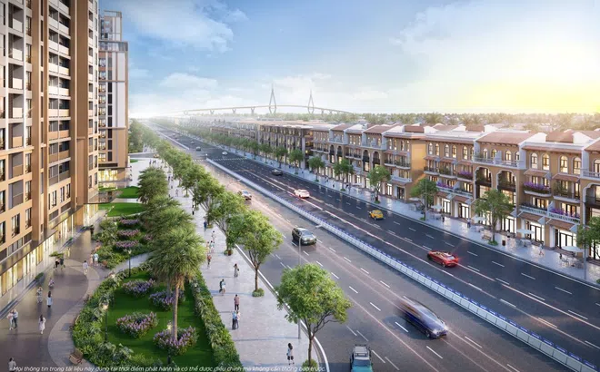 Đường chạy xuyên rừng - chạm biển “tiếp lửa” đưa Cần Giờ lên ngôi “đỉnh lưu” du lịch phía Nam