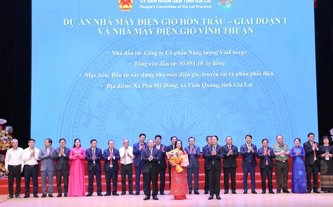 VinEnergo hợp tác phát triển cụm nhà máy điện gió trị giá gần 8 tỷ USD tại Gia Lai