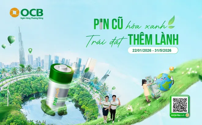 Từ điểm giao dịch xanh OCB đến nhà máy xử lý: Hành trình vì trái đất thêm lành