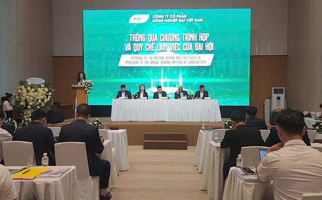 BAF đặt mục tiêu lợi nhuận kỷ lục năm 2026, tăng tốc chuỗi chăn nuôi và chế biến