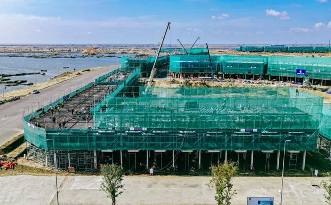 Chuyên gia kinh tế Đinh Thế Hiển: “Cần Giờ có thể đón 70-80 triệu lượt khách/năm”