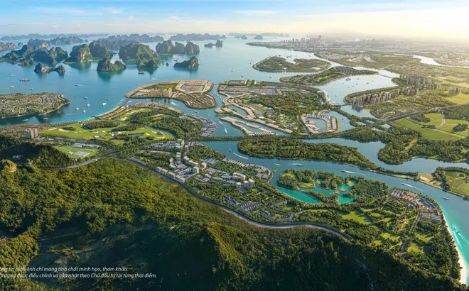 Vinhomes khởi động chương trình chuyển hoá nguồn lực vàng vào nền kinh tế