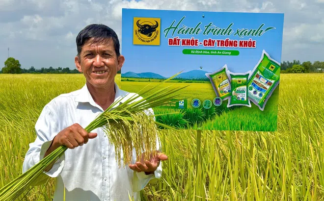 Đất khỏe hôm nay, mùa vàng ngày mai