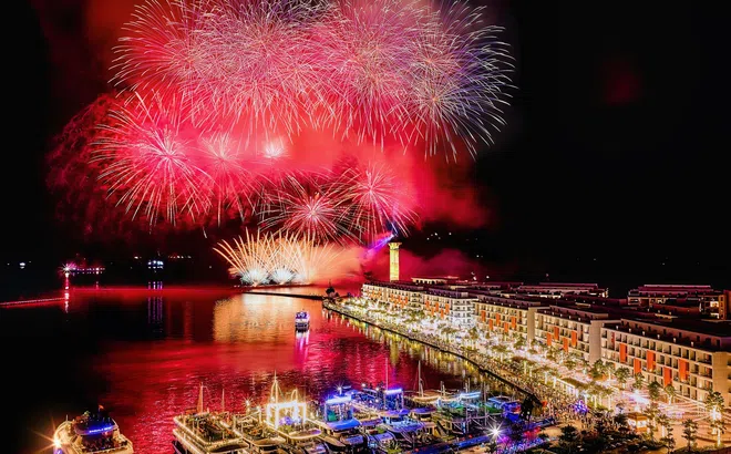 Căn hộ Sun Group Bãi Cháy mở lối xu hướng “Festival Living” giữa vịnh di sản