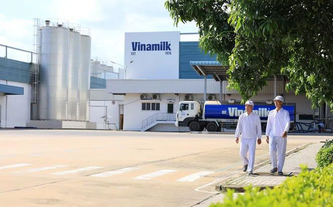 Vinamilk lan toả các thực hành giảm phát thải tại diễn đàn quốc gia về môi trường