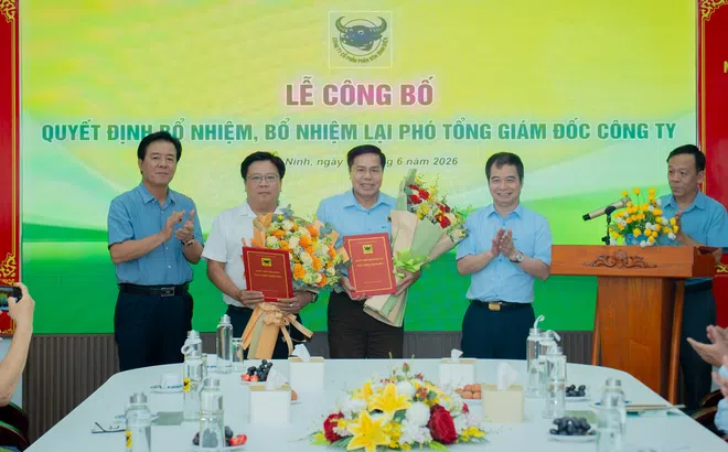 Phân bón Bình Điền tăng cường đội ngũ lãnh đạo cấp cao cho giai đoạn phát triển mới