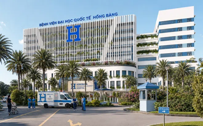 Gần 300 chuyên gia tham dự hội thảo cập nhật điều trị bệnh tiêu hóa - gan mật tại TP.HCM