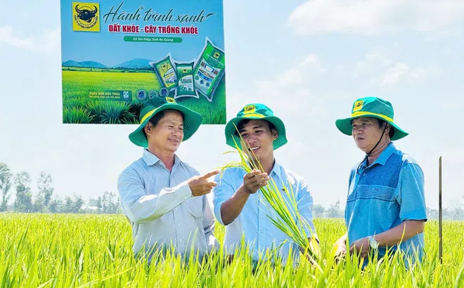 Đất khỏe, cây khỏe, người nông dân thêm niềm tin