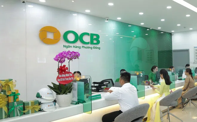 Giải pháp số giúp “gỡ rối” bài toán quản lý tài chính Hộ kinh doanh