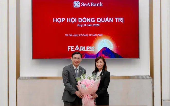Tân Chủ tịch HĐQT SeABank Trần Thị Thanh Thủy là ai?