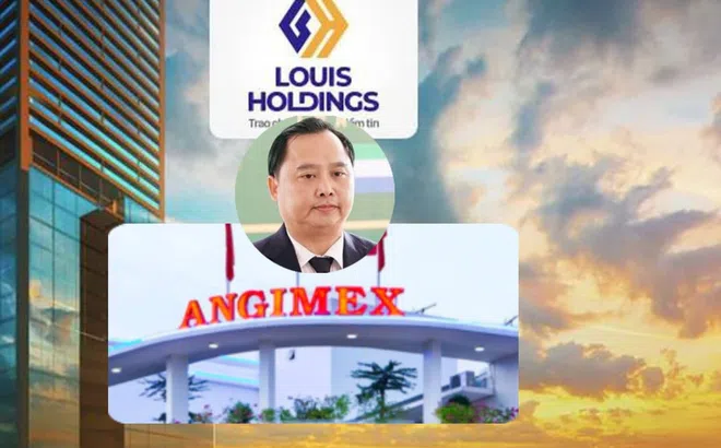 Sau nửa năm đầu tư, Louis Holdings của bị can Đỗ Thành Nhân muốn thoái hết vốn khỏi Angimex