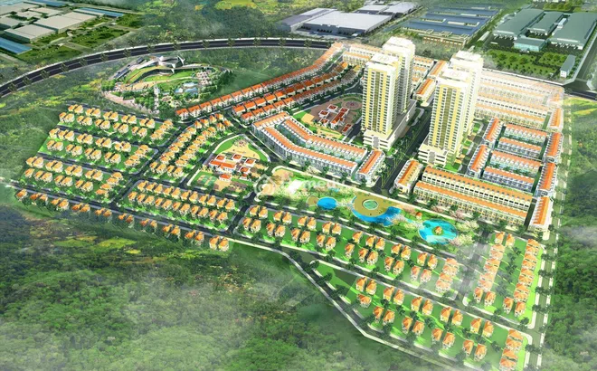 Xử phạt và đình chỉ kinh doanh đối với Công ty Sadaco Mỹ Xuân