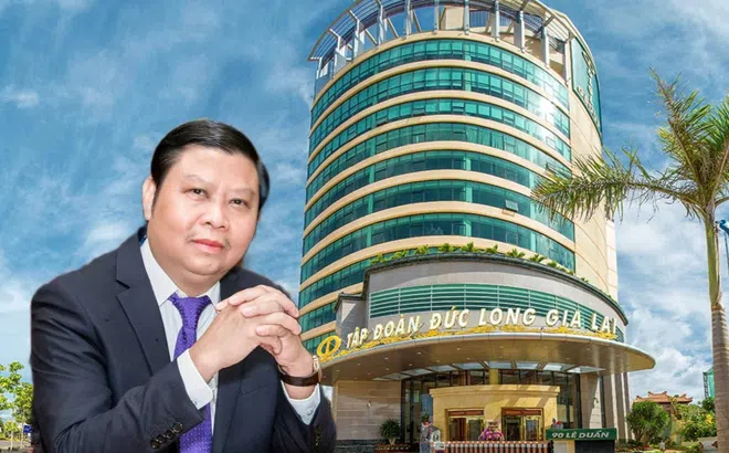Cổ phiếu Tập đoàn Đức Long Gia Lai của ông Bùi Pháp bị cắt “Margin” trong quý 4, vậy hoạt động của doanh nghiệp này ra sao?