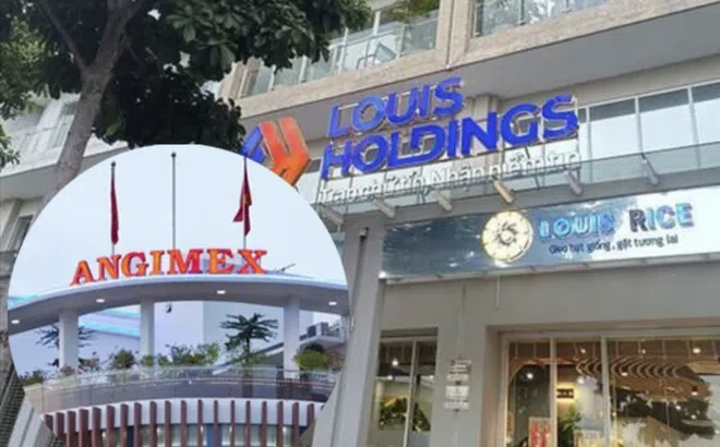 Sau ông Đỗ Thành Nhân, một chủ tịch mới của Louis Holdings bị truy tố vì thao túng thị trường chứng khoán.