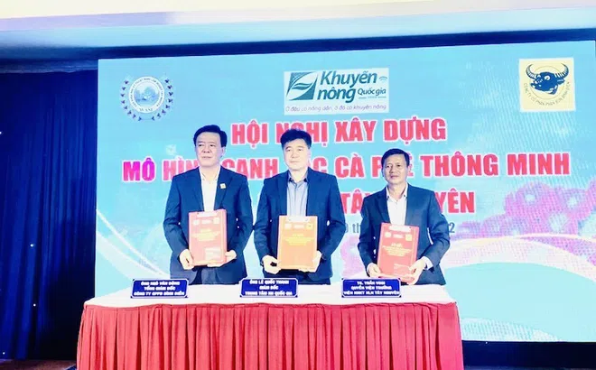 Bình Điền tổ chức xây dựng mô hình canh tác cà phê thông minh cho 5 tỉnh Tây nguyên
