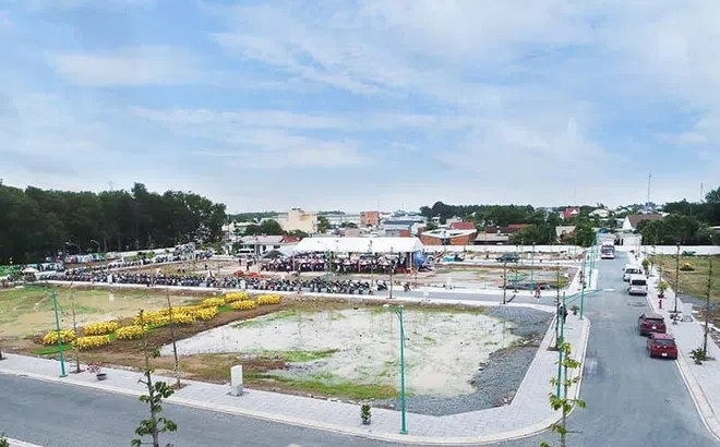 Năm 2023, nguồn cung đất nền chủ yếu đến từ thị trường Long An và Bình Dương