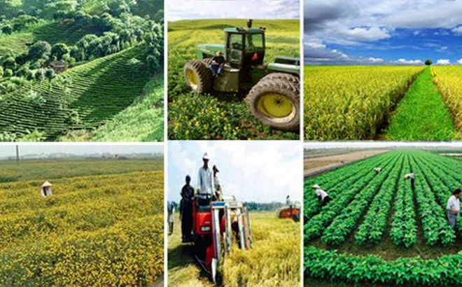 Tình hình kinh tế - xã hội tháng 8 và 8 tháng năm 2023