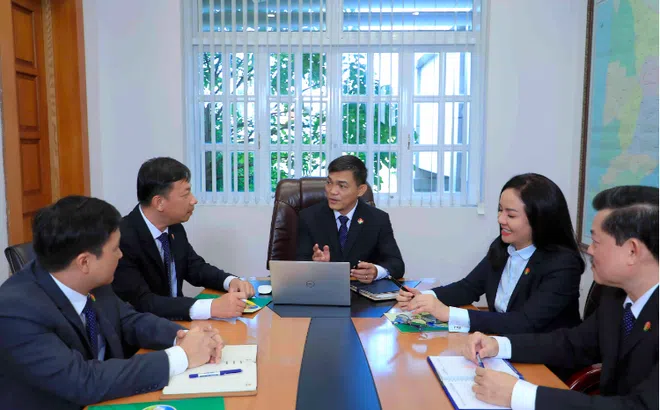 Phân bón Cà Mau vượt khó khăn nhờ chính sách kinnh doanh linh hoạt