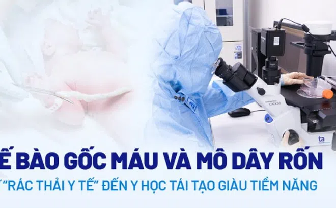 Tế bào gốc máu và mô dây rốn – từ “rác thải y tế” đến y học tái tạo tiềm năng