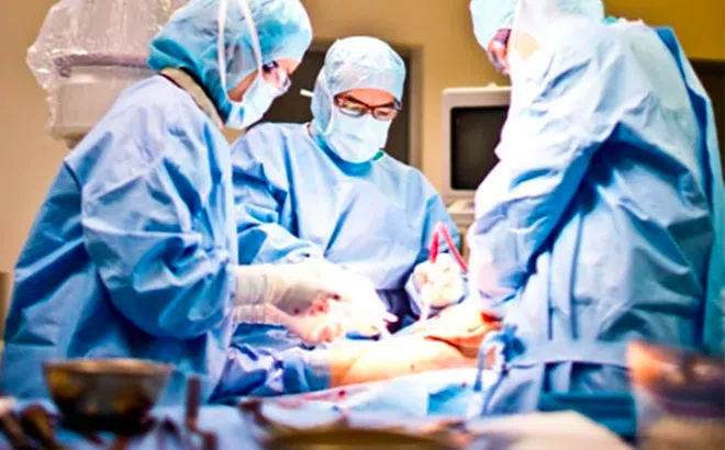 Suýt mất chân chỉ vì vết côn trùng cắn