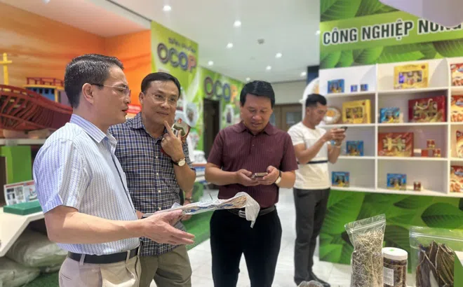 Phó Giám đốc Sở Công Thương Quảng Bình Phan Hoài Nam: Phát triển du lịch cộng đồng gắn với sản phẩm OCOP là cách làm hay